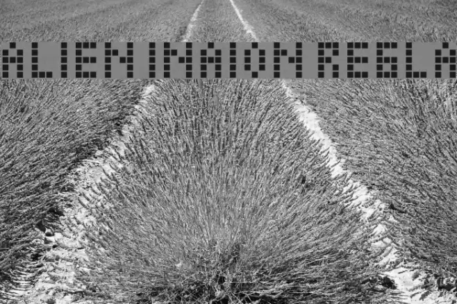 Alien Invasion Regular フォント examples