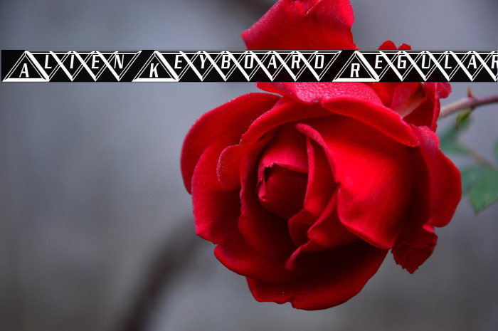 Alien Keyboard Regular फ़ॉन्ट examples