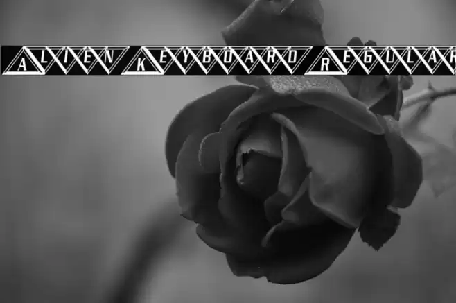 Alien Keyboard Regular 字体 examples