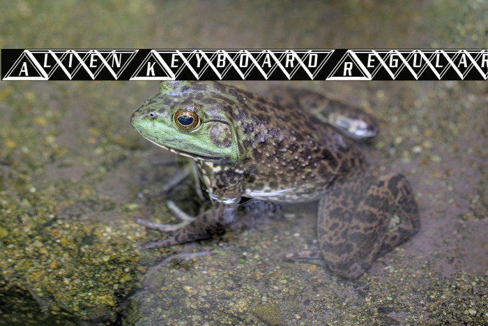 Alien Keyboard Regular फ़ॉन्ट examples