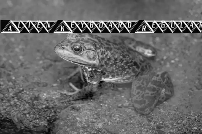 Alien Keyboard Regular 字体 examples