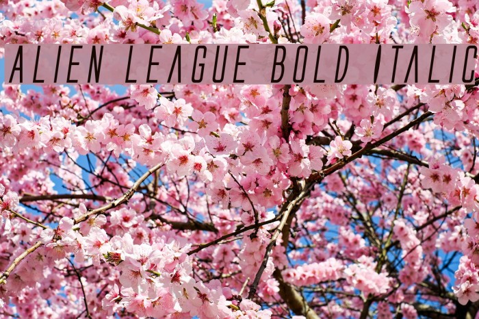 Alien League Bold Italic Fonte examples