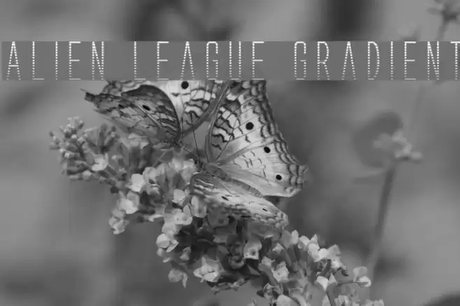 Alien League Gradient Font examples