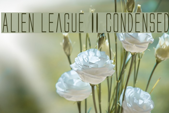 Alien League II Condensed Example 3