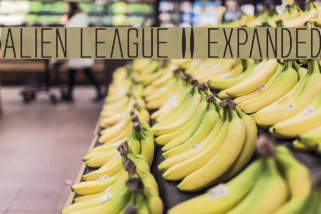 Alien League II Expanded Example 1