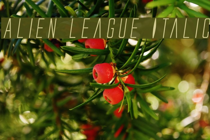 Alien League Italic Font examples