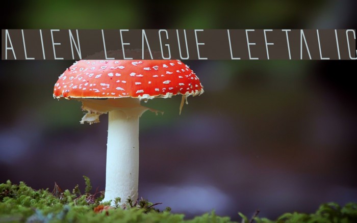 Alien League Leftalic examples