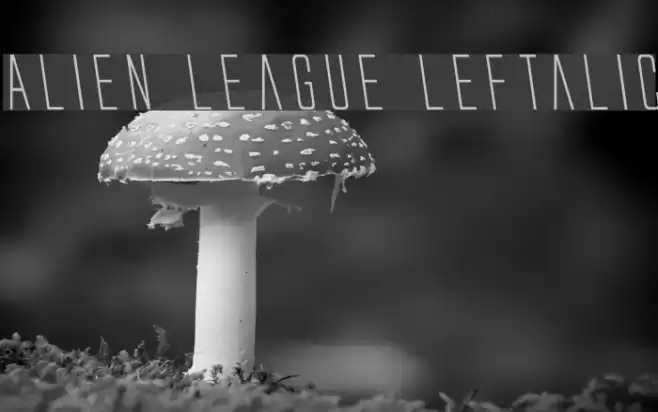 Alien League Leftalic Font examples