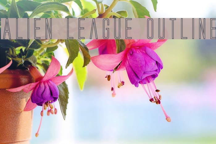 Alien League Outline Fonte examples