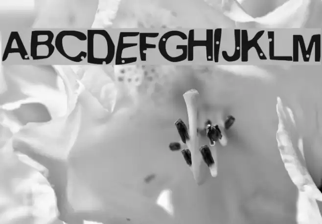 Alien MarksmanRegular Caratteri examples