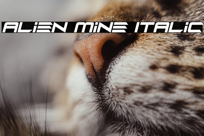 Alien Mine Italic Example 2