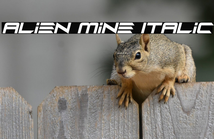Alien Mine Italic Example 3