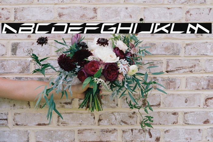 Alien Moon Italic Example 2