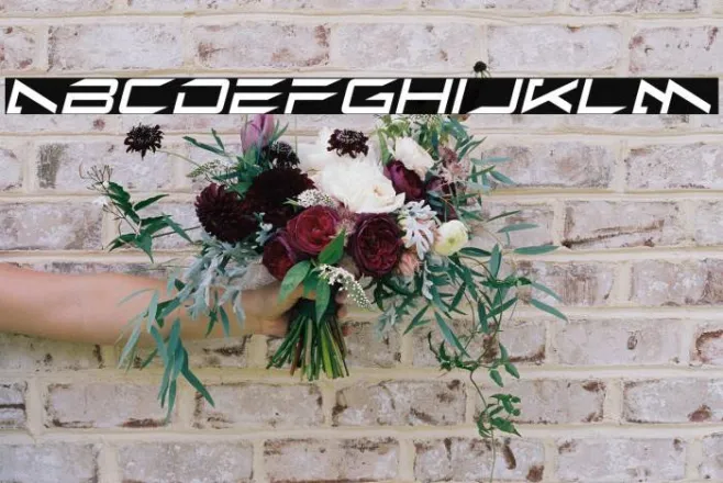 Alien Moon Italic Example 2