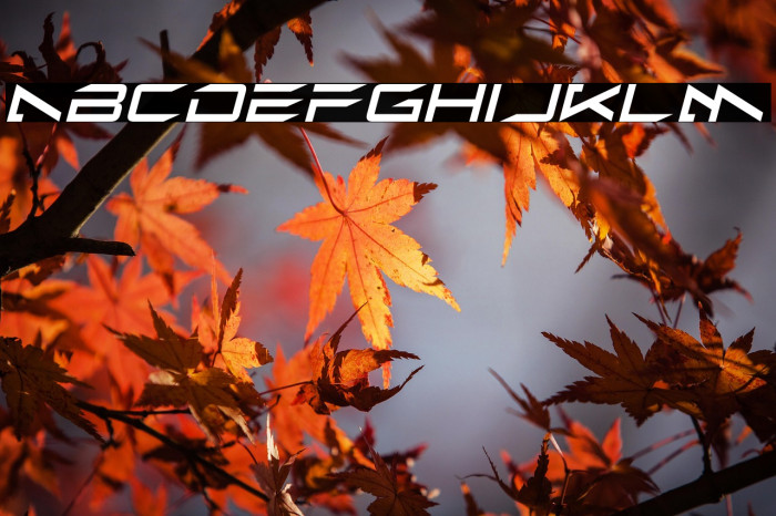 Alien Moon Italic Example 3