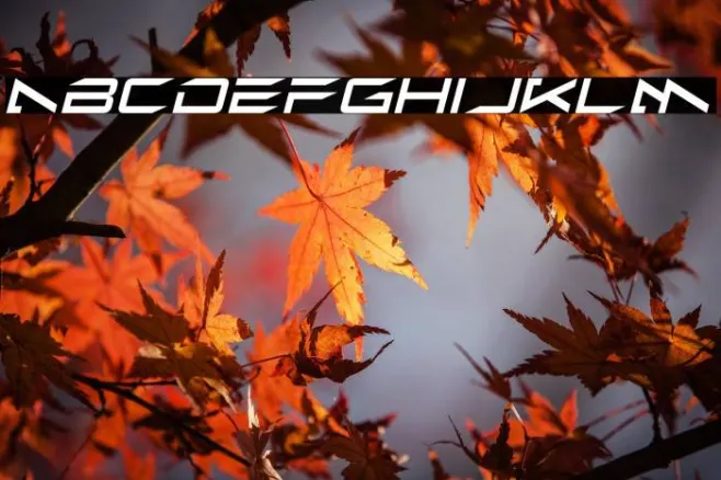 Alien Moon Italic Example 3