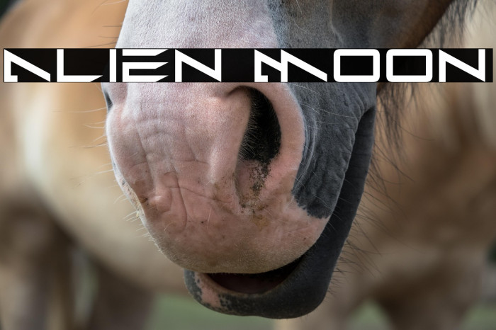 Alien Moon Example 3