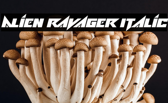 Alien Ravager Italic Example 1