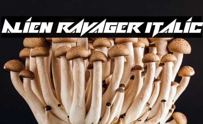 Alien Ravager Italic Example 1