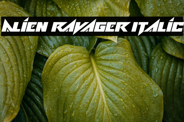 Alien Ravager Italic Example 2