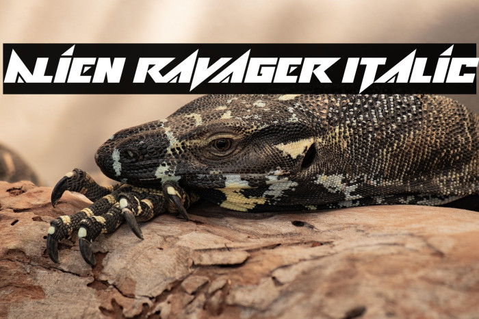 Alien Ravager Italic Example 3