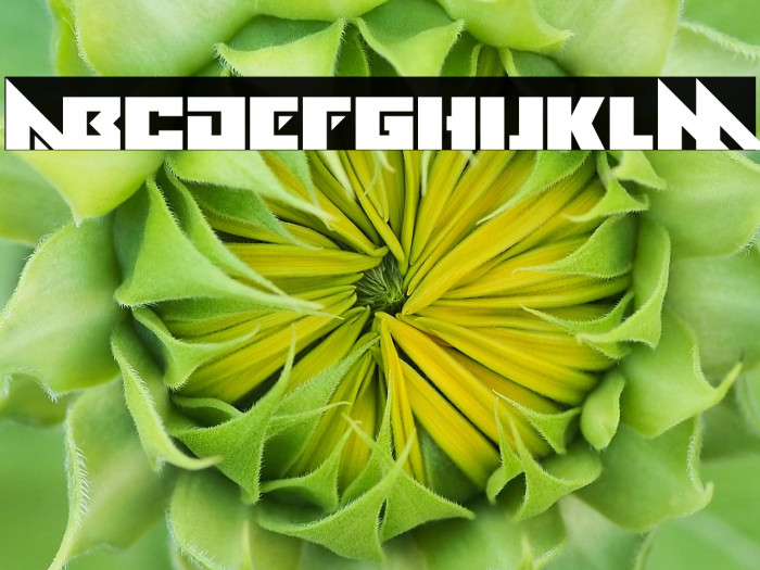 Alien Ravager Example 3