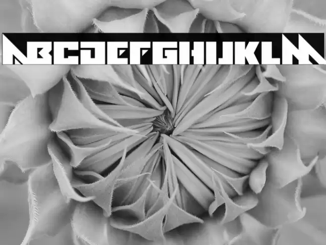 Alien Ravager Font examples