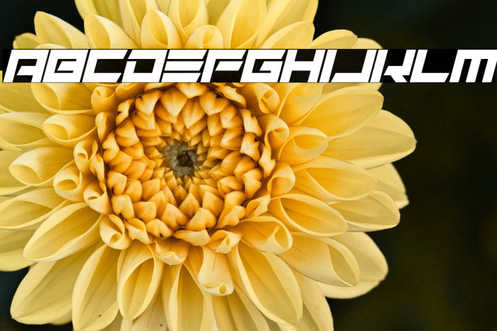 Alien Remix Italic Example 3