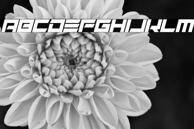 Alien Remix Italic Font examples