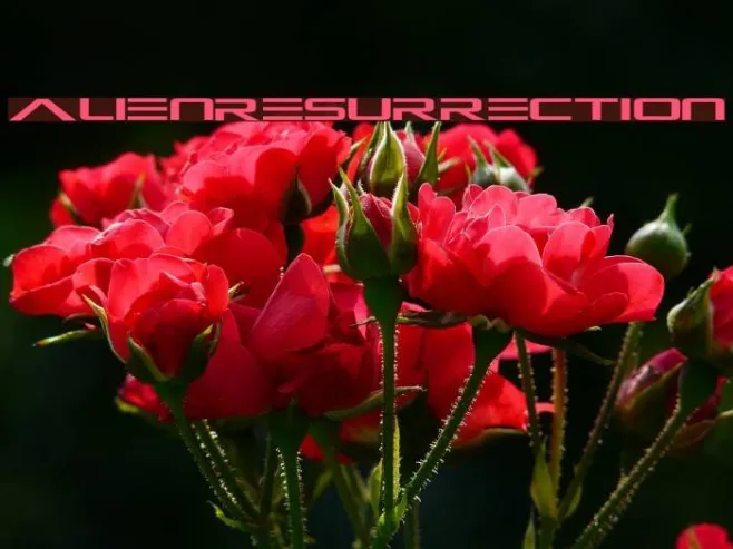 Alien-Resurrection Example 1