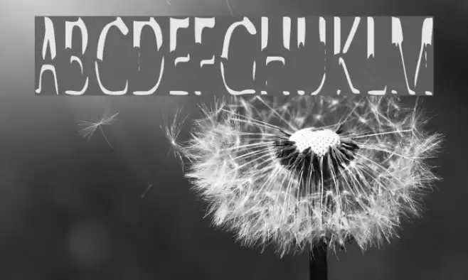 Alien Script Font examples