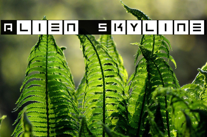 Alien Skyline Example 1