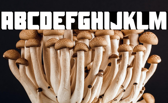 Alien Spaceship Example 2