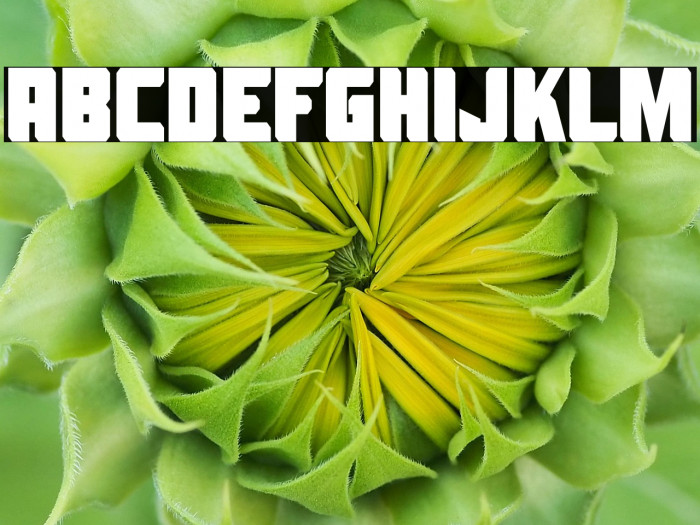 Alien Spaceship Example 2