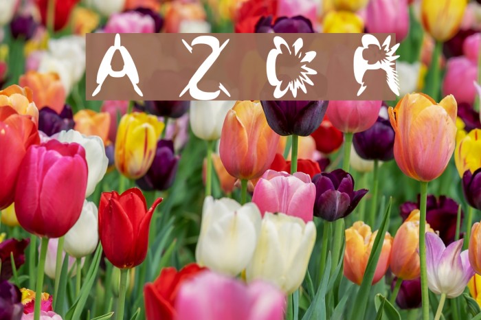 Alien Zoo Demo Regular Font examples