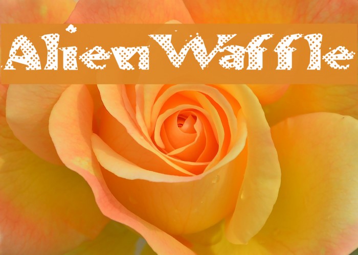 AlienWaffle Polices examples