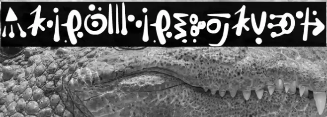 Alien_Hieroglyph Font examples