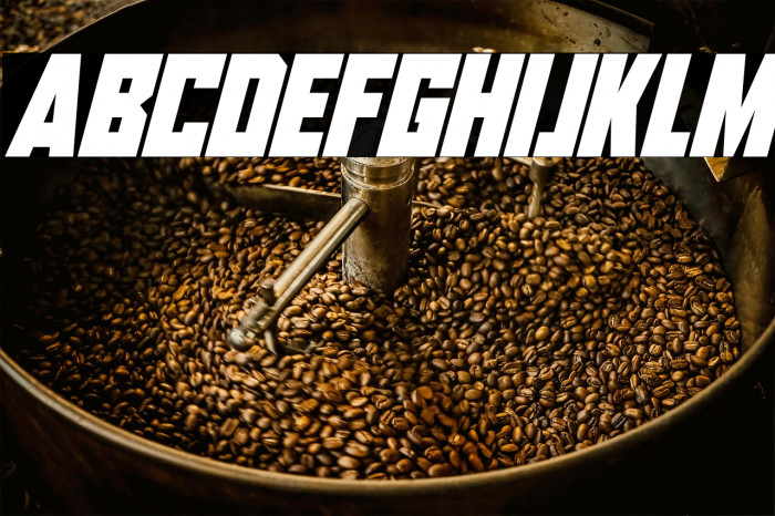 Aliens Among Us Italic Example 1