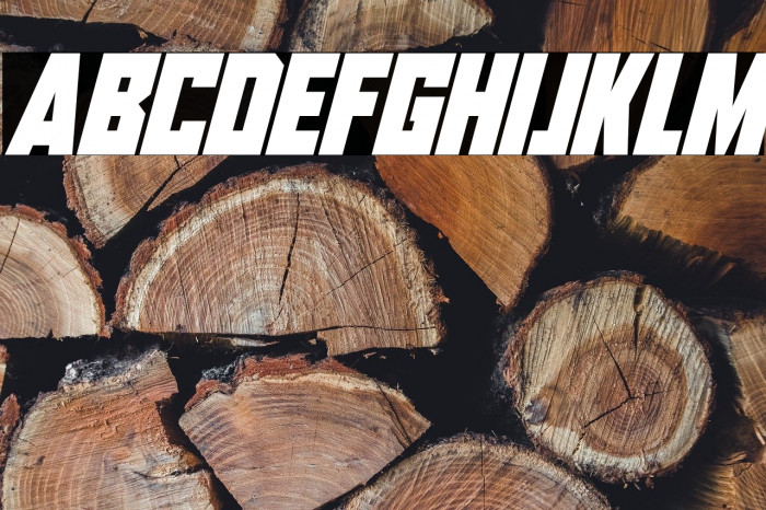 Aliens Among Us Italic Example 3