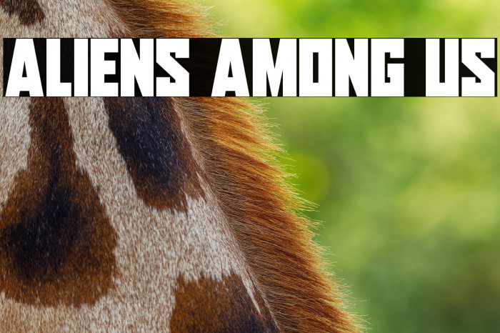 Aliens Among Us Example 3