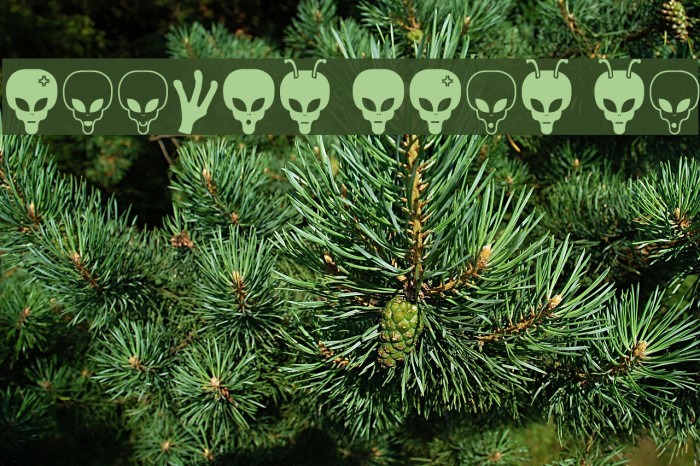Aliens Bats St Font examples