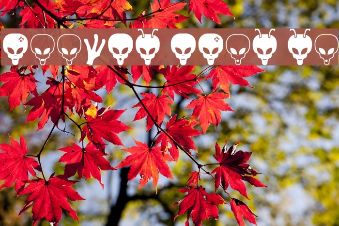 Aliens Bats St Font examples