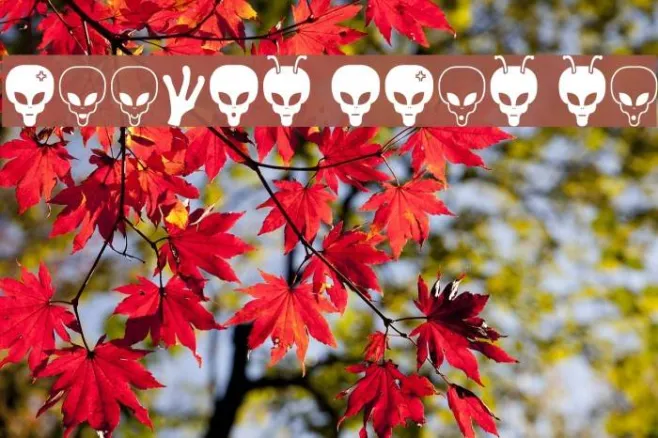 Aliens Bats St Example 3