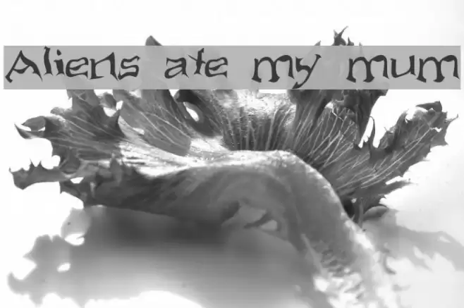 Aliens ate my mum Font examples