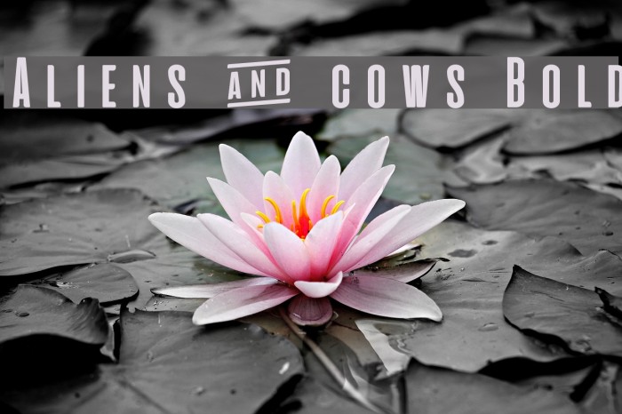 Aliens & cows Bold Font examples