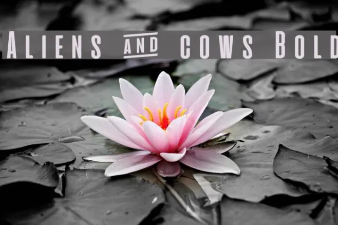 Aliens & cows Bold Example 1