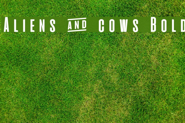 Aliens & cows Bold Font examples