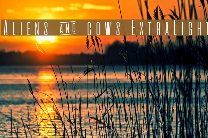 Aliens & cows ExtraLight Example 3