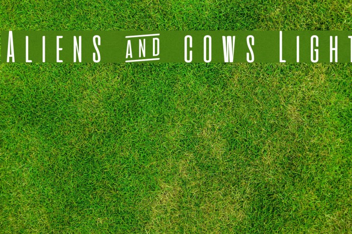 Aliens & cows Light Font examples