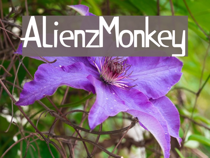 AlienzMonkey Example 1